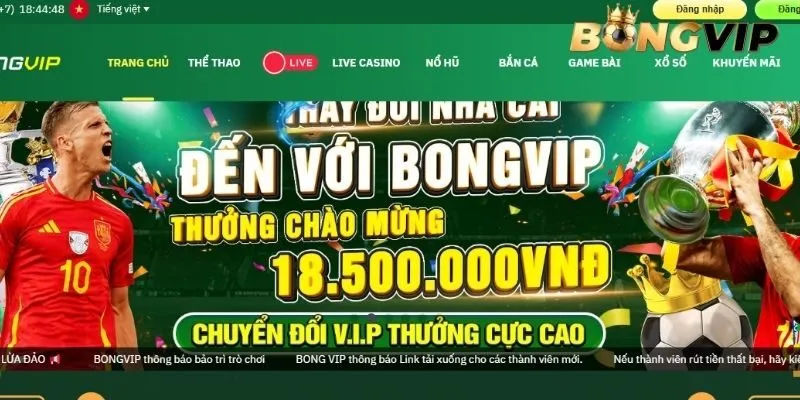 Người chơi cần tuân thủ điều kiện đăng ký BONGVIP