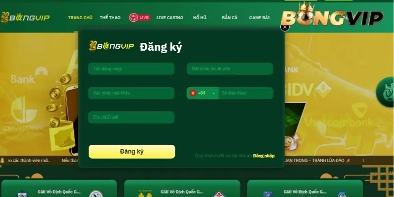 Người chơi cần điền đầy đủ thông tin đăng ký