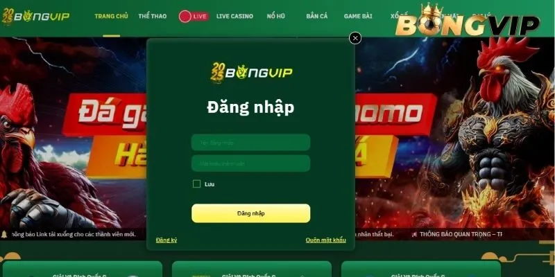 Quy trình đăng nhập BONGVIP trên máy tính siêu nhanh gọn