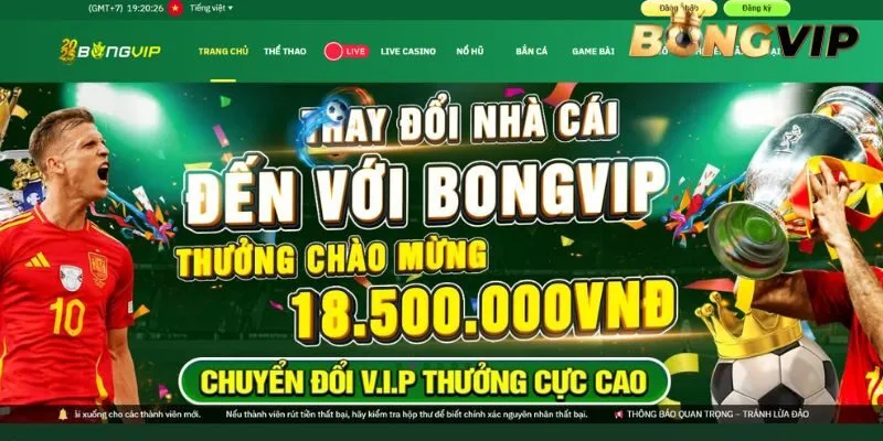 Điều khoản điều kiện về tài khoản đăng ký BONGVIP