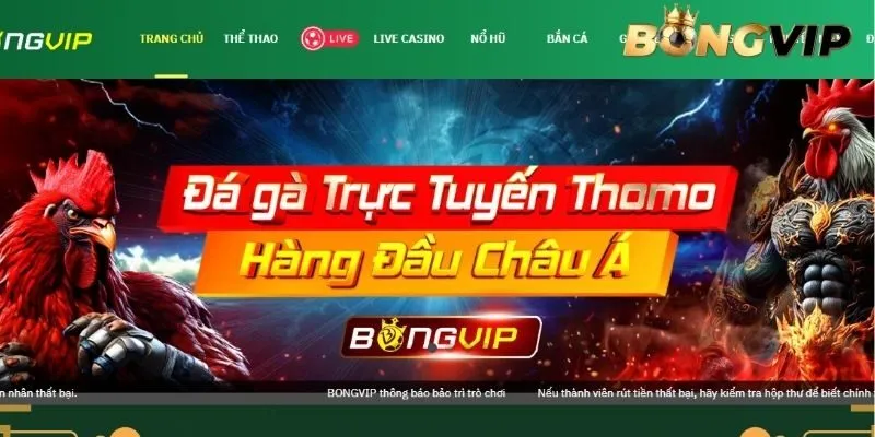 Giới thiệu BONGVIP - Nhà cái uy tín và hợp pháp