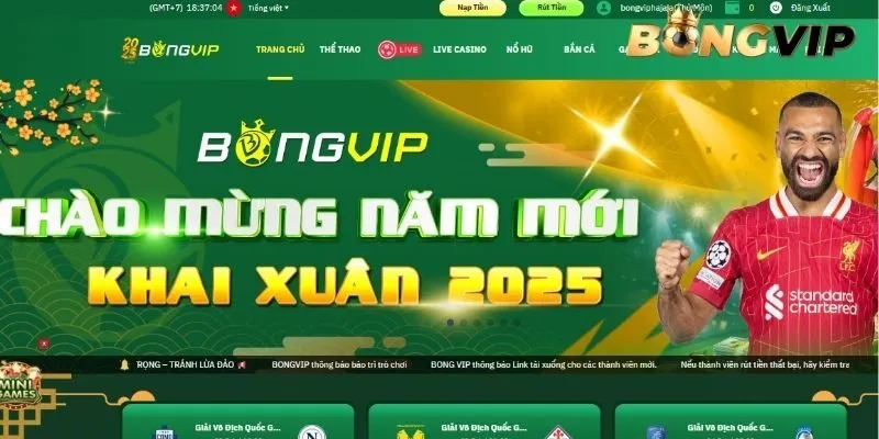 Dịch vụ cá cược chất lượng với nhiều tiện ích