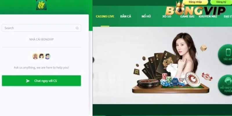 Tổng hợp các phương thức liên hệ BONGVIP