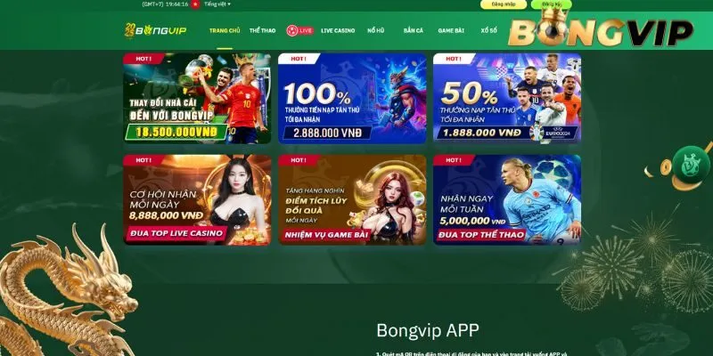 Các trường hợp nhà cái BONGVIP được miễn trừ