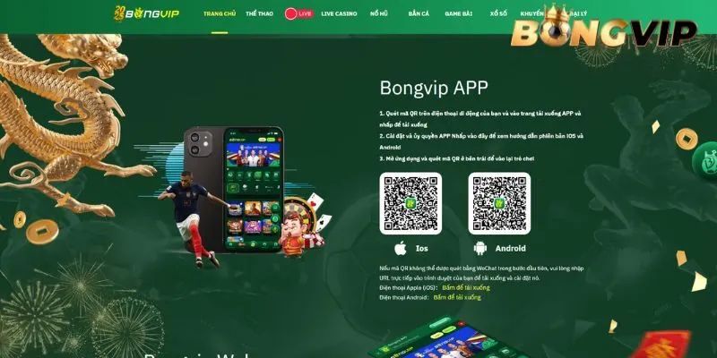 Miễn trừ trách nhiệm BONGVIP dành cho người chơi