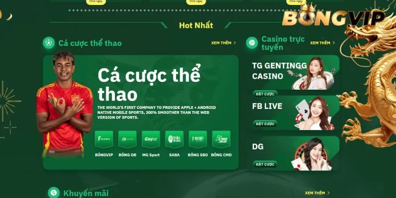 Nhà cái có quyền sửa đổi để phù hợp với thực tế