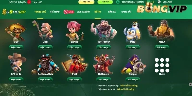 Đảm bảo kết nối khi tải app BONGVIP