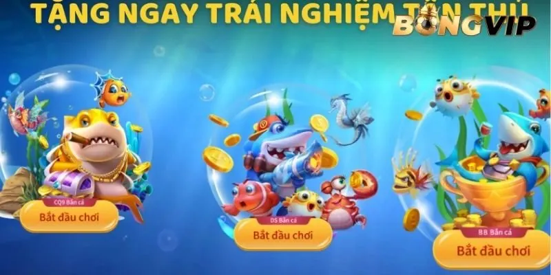 Vì sao nên chọn game bắn cá CQ9 Tại BONGVIP